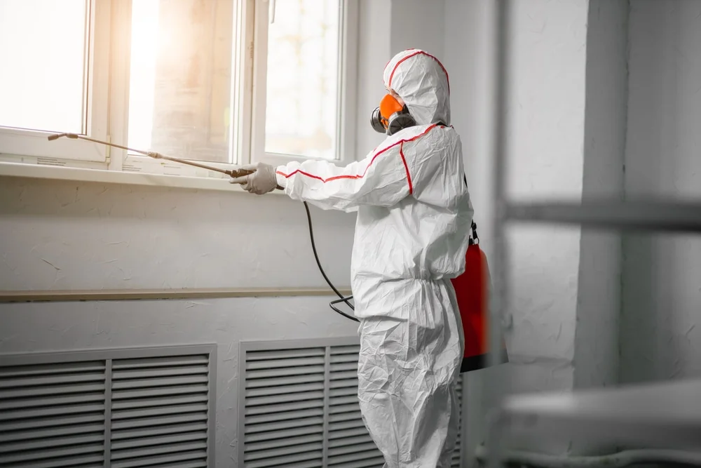 Professional mold remediation services in Hinesville, GA